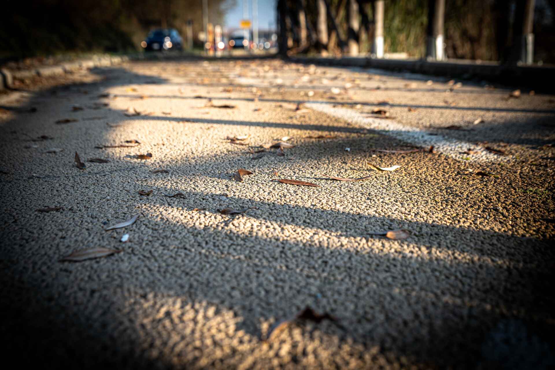 Il mondo che ci circonda