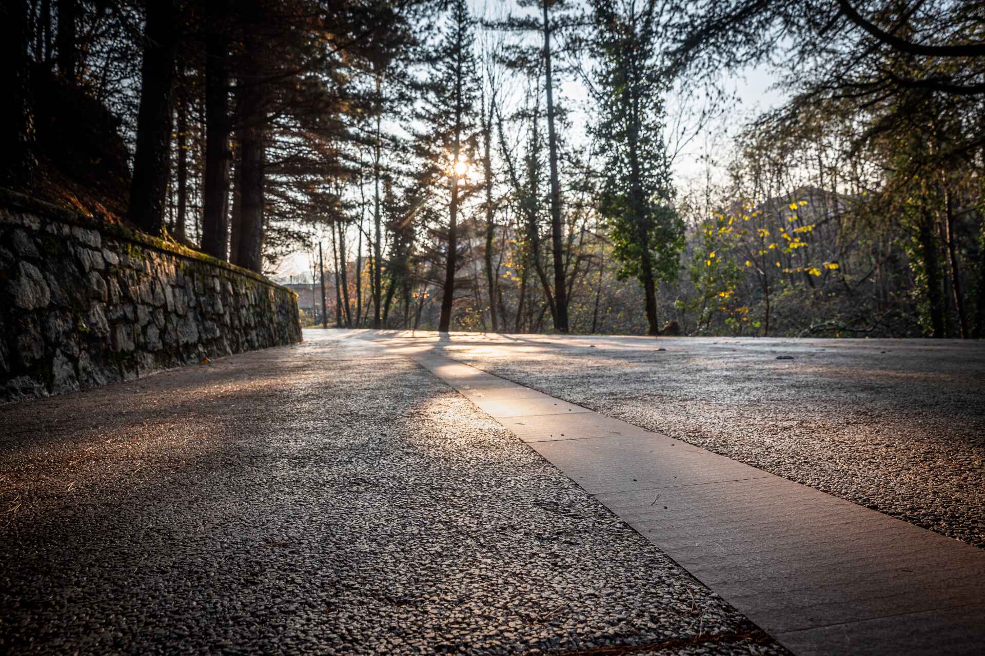 Chi siamo: bellezza e sostenibilità per il paesaggio