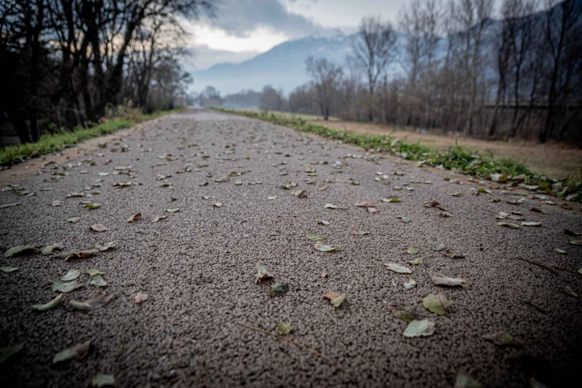 Valori Biostrasse: qualità e sostenibilità per il paesaggio