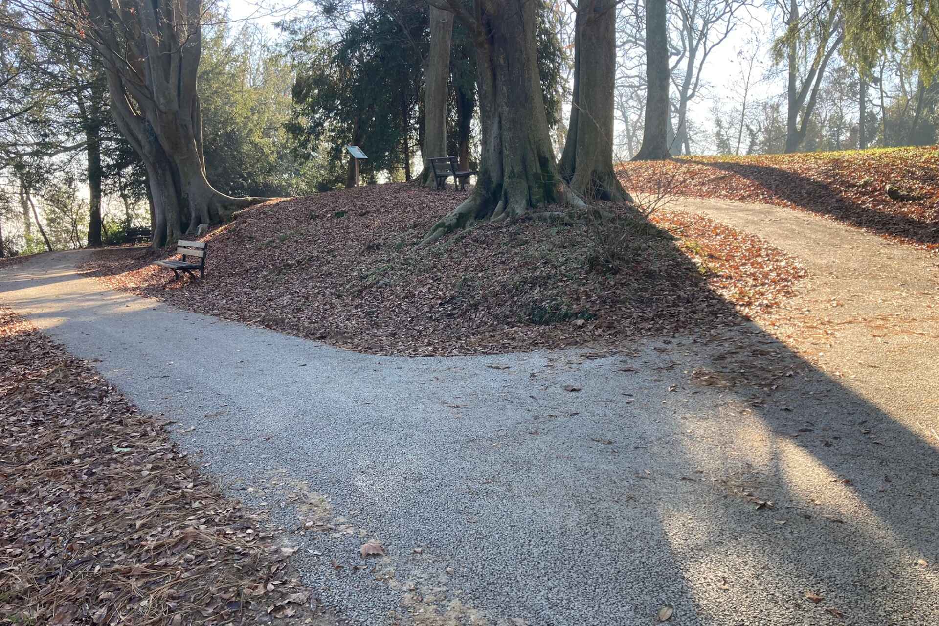 Sentieri naturalistici e parchi: bellezza, resistenza e natura